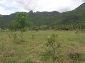 ขายที่ดินในสามร้อยยอด ใกล้หัวหิน Land for sale in Sam Roi Yod near Hua Hin